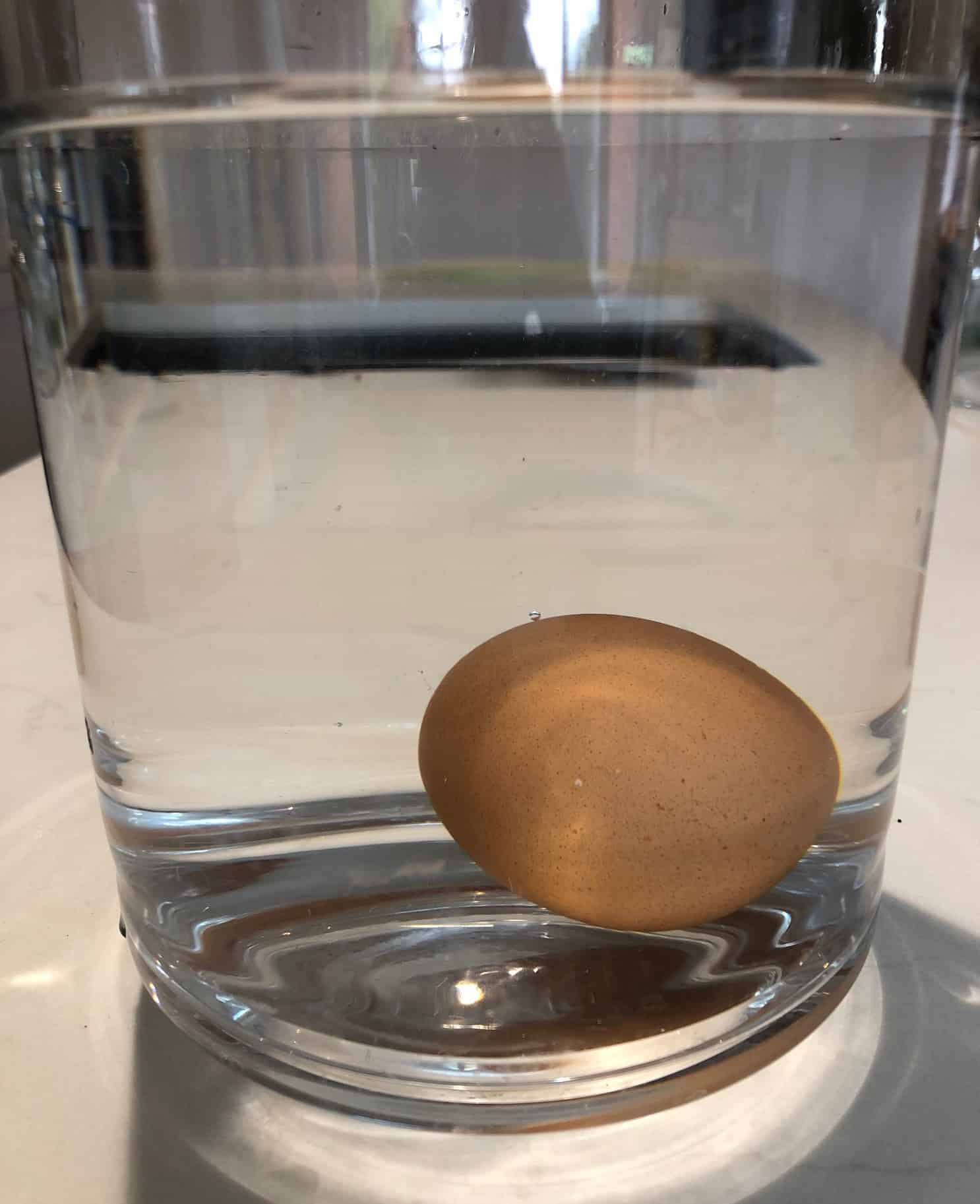 Egg lying on side in glass