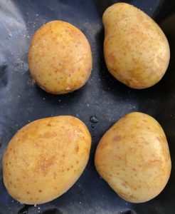 4 baking potatoes with sea salt on tray
