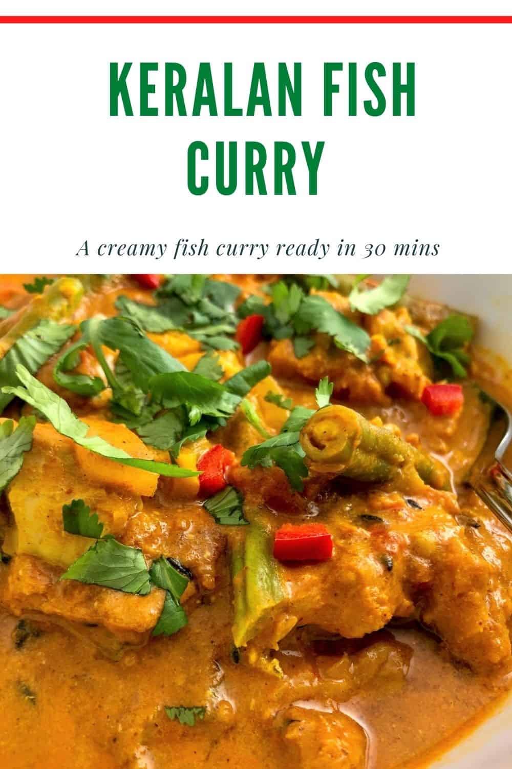 Keralan Fish Curry Pinterest image, close up of curry