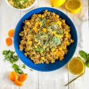 Moroccan fruity lamb mince tagine in bowl with apricots
