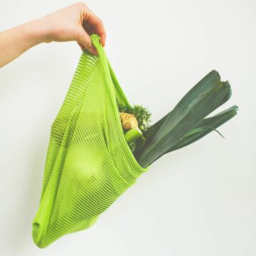 hand holding green string bag containing selection of vegetables