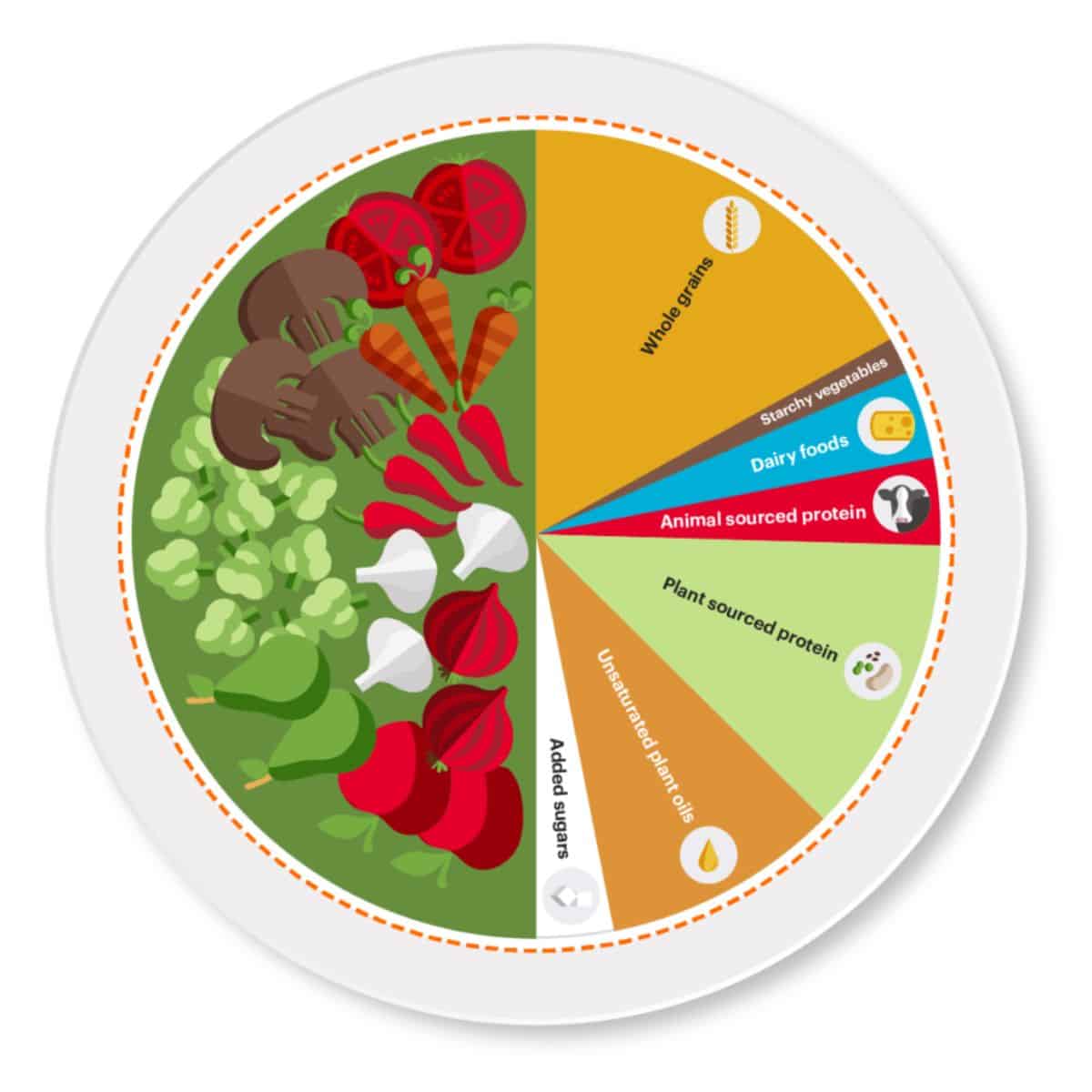 official EAT Lancet plate for planetary and dietary health showing typical make up of food groups in daily diet