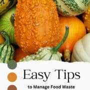 tips to manage food waste text with image of squashes