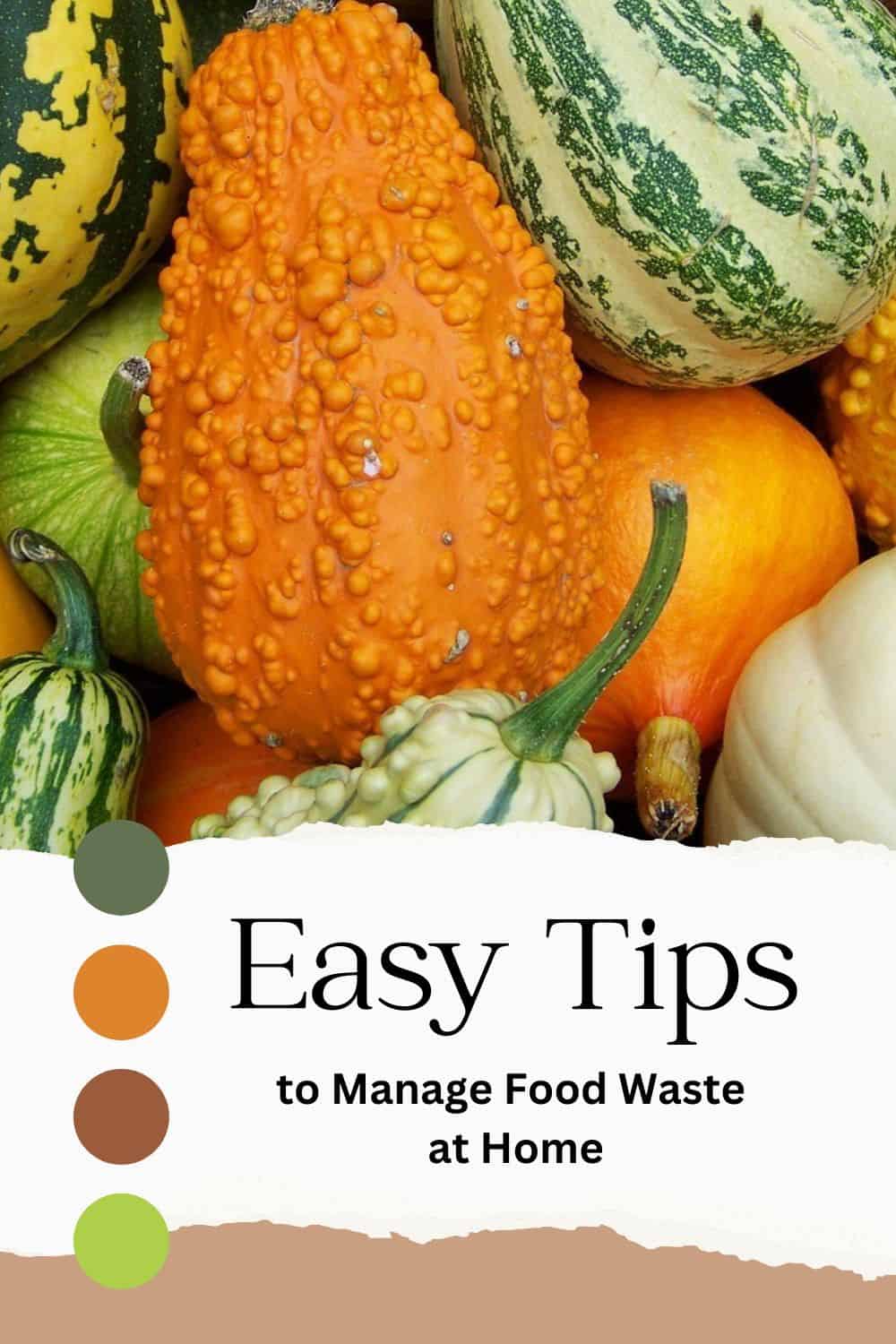tips to manage food waste text with image of squashes