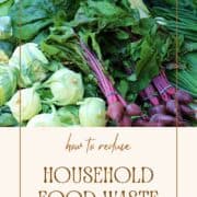 collection of vegetables with text how to reduce household food waste.