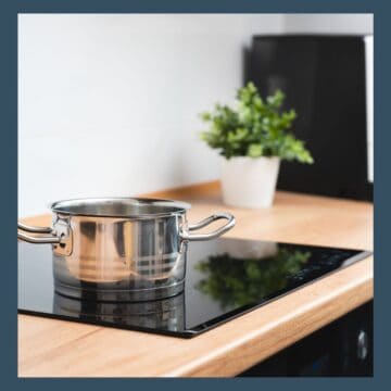silver pan on induction hob with plant in background.