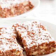 chocolate peanut butter oatmeal bars topped with coconut on a plate.