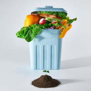 blue bin full of food waste from household to show how to reduce food waste at home